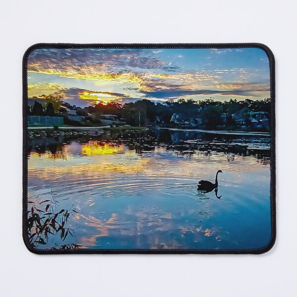 Item preview, Black Swan at Sunset - Kangaroo Flat, Victoria, Australia designed and sold by Steven Jodoin.