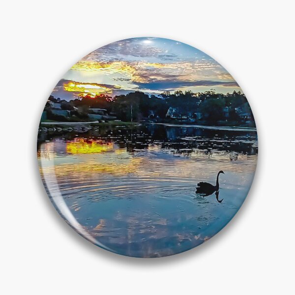 Item preview, Black Swan at Sunset - Kangaroo Flat, Victoria, Australia designed and sold by Steven Jodoin.