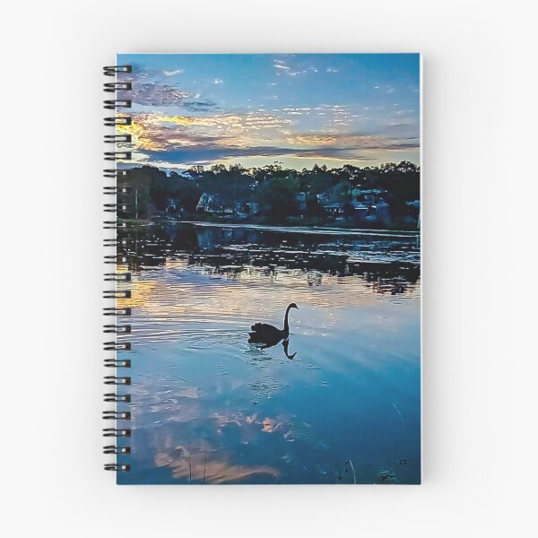 Item preview, Black Swan at Sunset - Kangaroo Flat, Victoria, Australia designed and sold by Steven Jodoin.