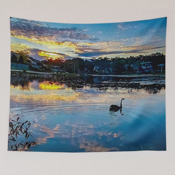 Item preview, Black Swan at Sunset - Kangaroo Flat, Victoria, Australia designed and sold by Steven Jodoin.