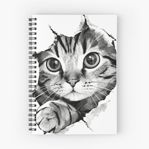 Item preview, Caturday designed and sold by By Eli.