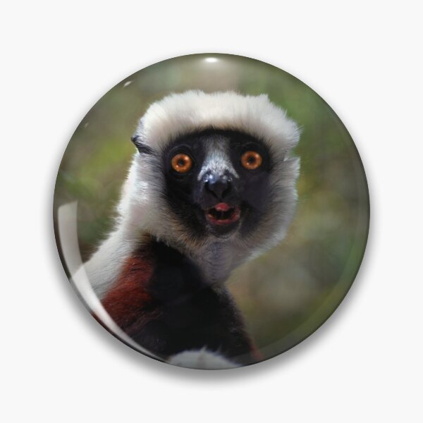 Item preview, Surprised Lemur in Natural Habitat designed and sold by Savannah Gibbs.
