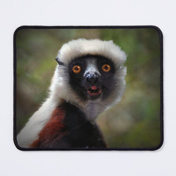 Item preview, Surprised Lemur in Natural Habitat designed and sold by Savannah Gibbs.