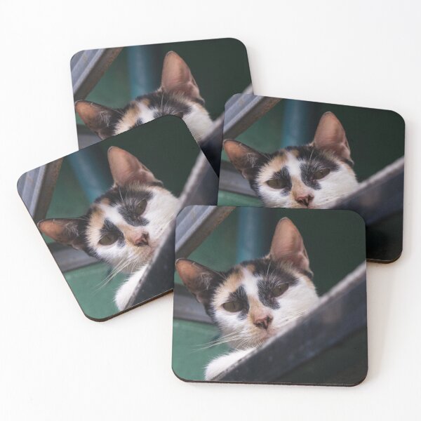 Item preview, Curious Cat_02 designed and sold by ROSE ANN BANILAR.