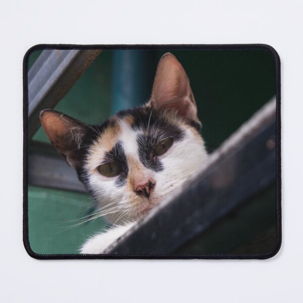 Item preview, Curious Cat_02 designed and sold by ROSE ANN BANILAR.