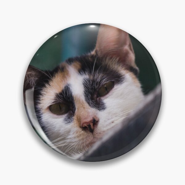 Item preview, Curious Cat_02 designed and sold by ROSE ANN BANILAR.