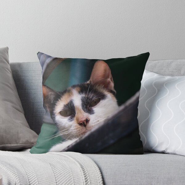 Item preview, Curious Cat_02 designed and sold by ROSE ANN BANILAR.
