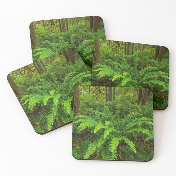 Item preview, Vibrant Sword Ferns in the Forest designed and sold by jklune.
