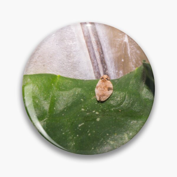 Item preview, passionvine hopper designed and sold by ROSE ANN BANILAR.