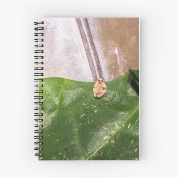 Item preview, passionvine hopper designed and sold by ROSE ANN BANILAR.