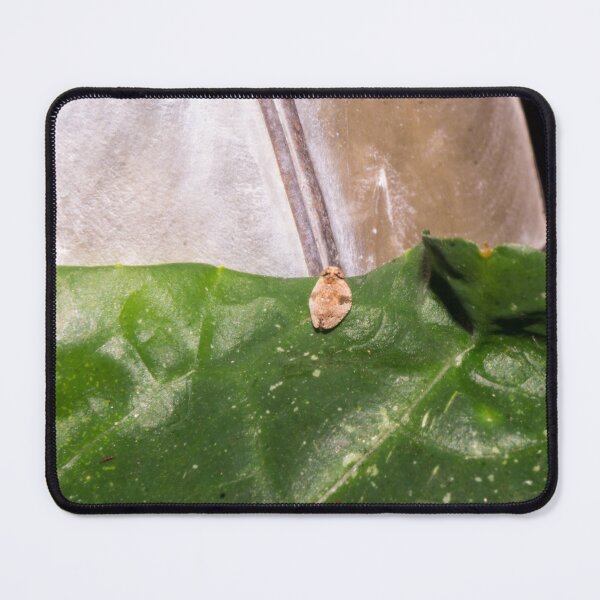 Item preview, passionvine hopper designed and sold by ROSE ANN BANILAR.