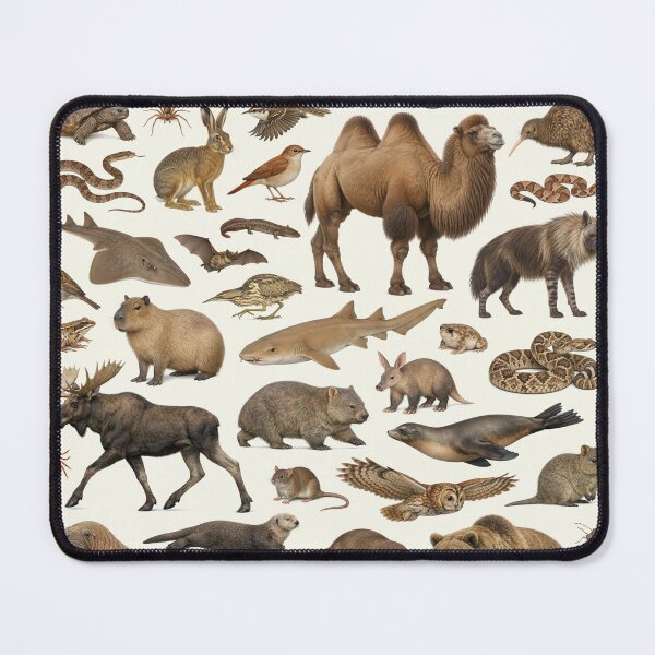 Item preview, Wild World in Brown Retro Style Identification Chart designed and sold by kakarikihill.