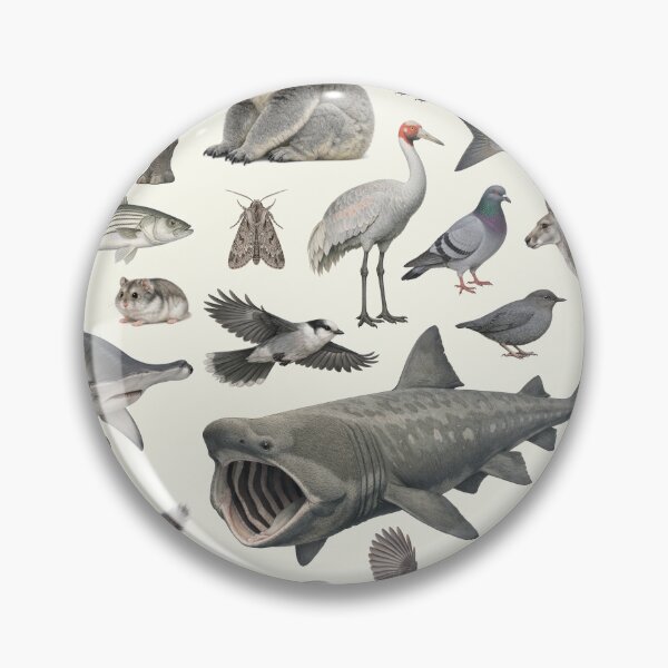 Item preview, Wild World in Gray Retro Style Identification Chart designed and sold by kakarikihill.