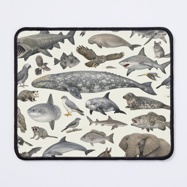 Item preview, Wild World in Gray Retro Style Identification Chart designed and sold by kakarikihill.