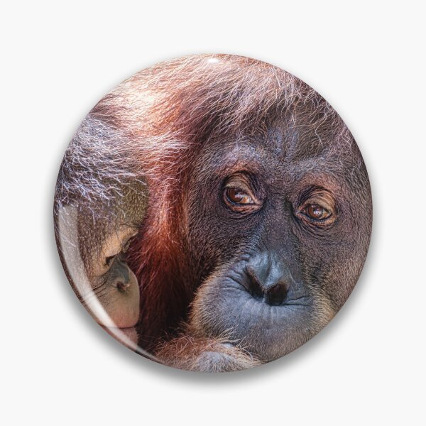 Item preview, Orang Utans 10 designed and sold by photograham.
