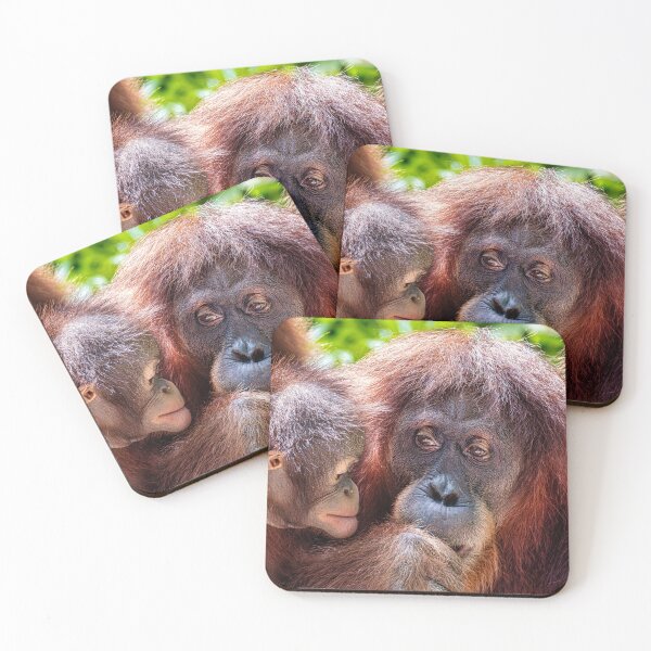 Item preview, Orang Utans 10 designed and sold by photograham.