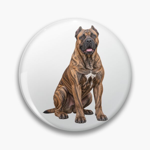 Item preview, Presa Canario Dog designed and sold by BackgroundND.