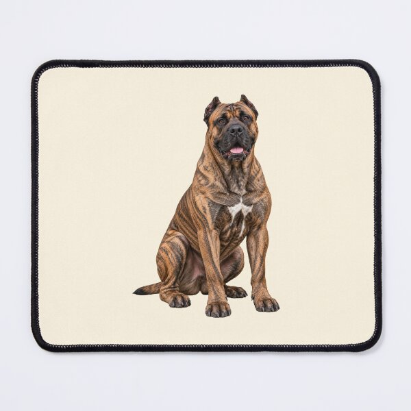Item preview, Presa Canario Dog designed and sold by BackgroundND.