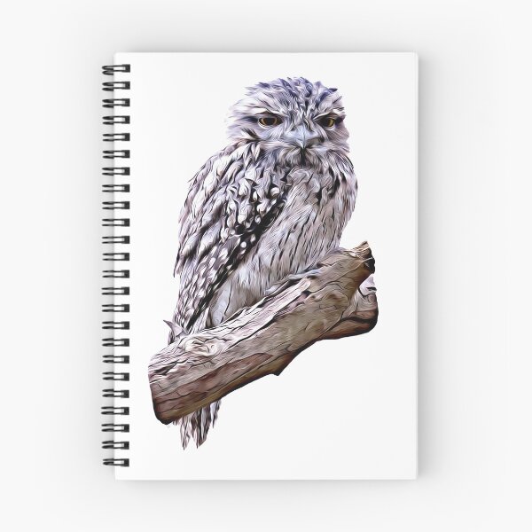 Item preview, Tawny Frogmouth artwork designed and sold by Birdographer.