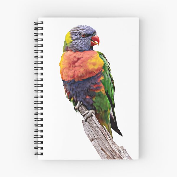 Item preview, Rainbow Lorikeet designed and sold by Birdographer.