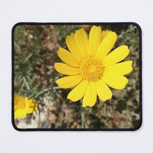 Item preview, The flower sun designed and sold by Anna-Art-Studio.