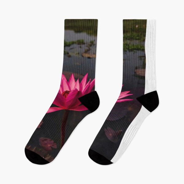 Item preview, Budapest Damien Jurado aLandmark Memories designed and sold by jsgrbf.