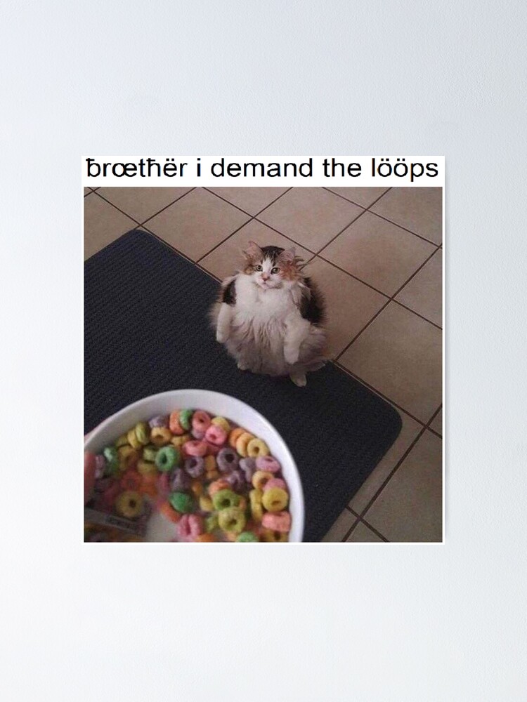 Brother Loops Cat Meme