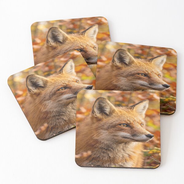 Item preview, A portrait of a Red Fox in the Autumn designed and sold by Solomon-Ent-144.