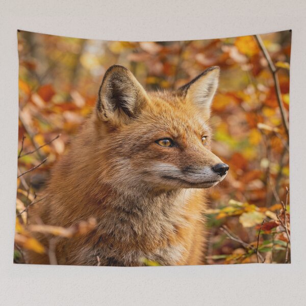 Item preview, A portrait of a Red Fox in the Autumn designed and sold by Solomon-Ent-144.