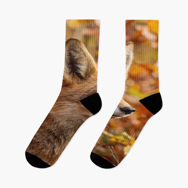 Item preview, A portrait of a Red Fox in the Autumn designed and sold by Solomon-Ent-144.