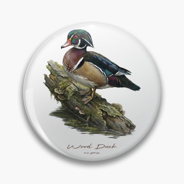 Item preview, Wood Duck on Mossy Log Bird Illustration designed and sold by Takeda-art.