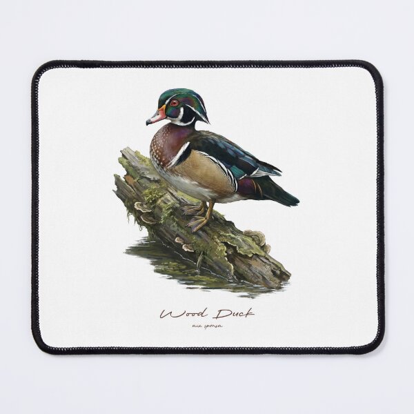 Item preview, Wood Duck on Mossy Log Bird Illustration designed and sold by Takeda-art.