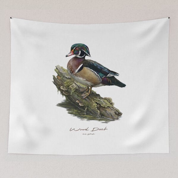 Item preview, Wood Duck on Mossy Log Bird Illustration designed and sold by Takeda-art.