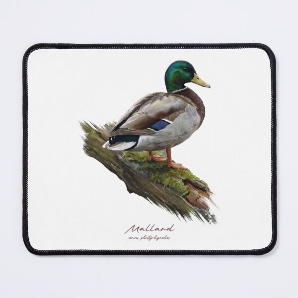 Item preview, Mallard by the Water Bird Illustration designed and sold by Takeda-art.