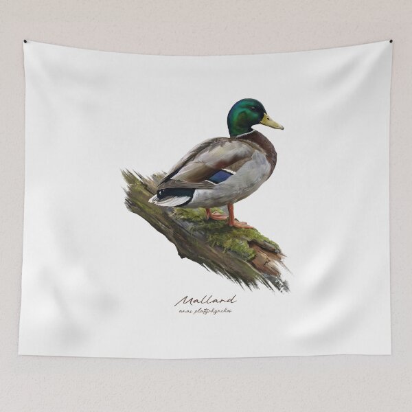 Item preview, Mallard by the Water Bird Illustration designed and sold by Takeda-art.