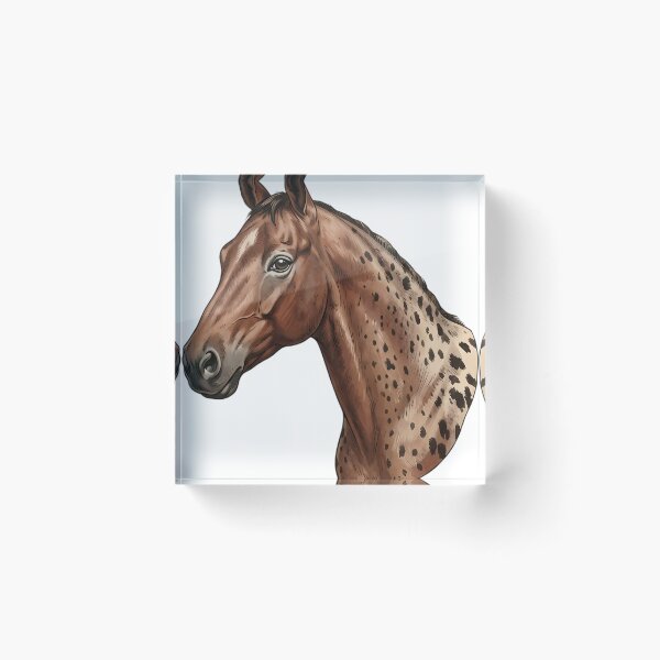 Item preview, Vintage Naturalist Appaloosa Horse Portrait — Antique Horse Breed Art designed and sold by Catch333.