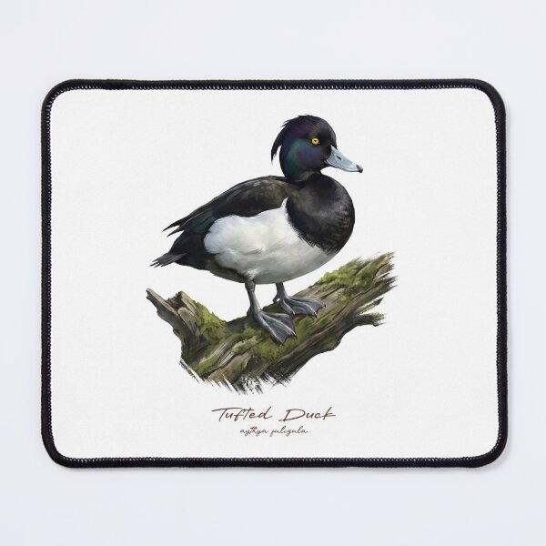Item preview, Tufted Duck on Mossy Log Bird Illustration designed and sold by Takeda-art.