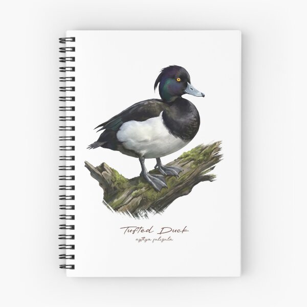 Item preview, Tufted Duck on Mossy Log Bird Illustration designed and sold by Takeda-art.