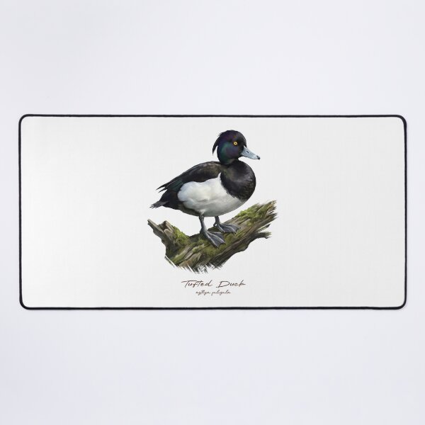 Item preview, Tufted Duck on Mossy Log Bird Illustration designed and sold by Takeda-art.