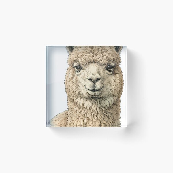 Item preview, Vintage Naturalist Huacaya Alpaca Portrait — Antique Camelid Breed Art designed and sold by Catch333.
