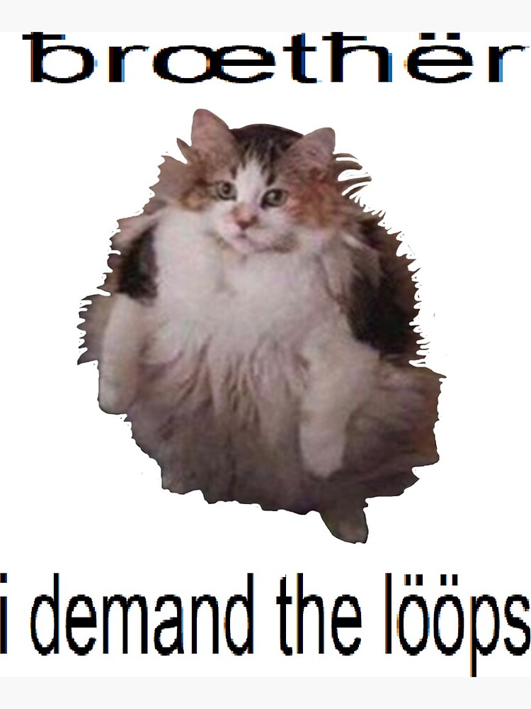 Loops cat. Loops cat