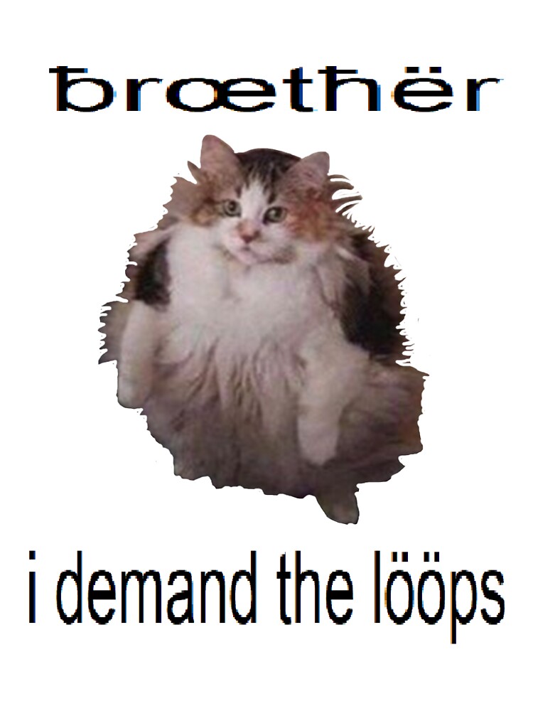 Brother Loops Cat Meme Baby T Shirt By B3nny Redbubble - roblox meme brother