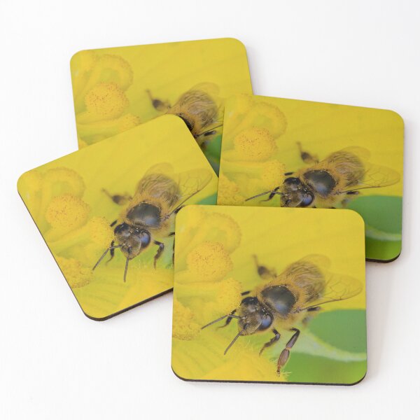 Item preview, Iberian Honey Bee on Yellow Flower  designed and sold by Ralph Goldsmith.