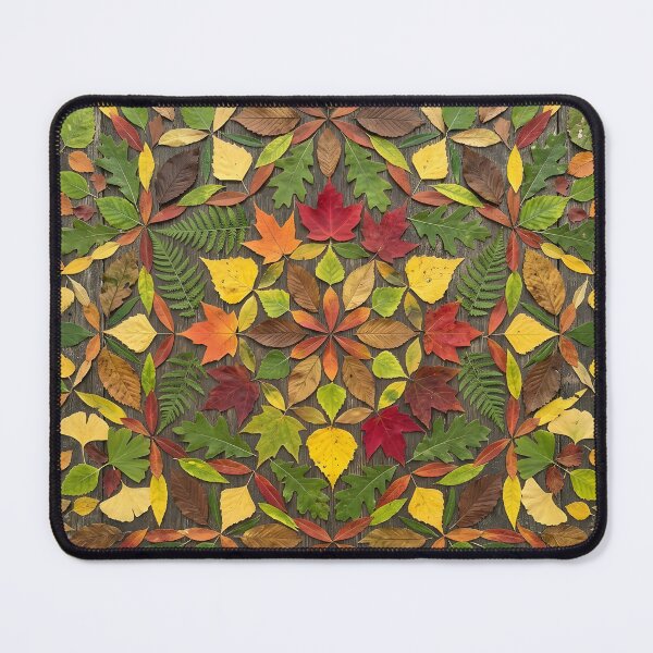 Item preview, Symmetrical Autumn Foliage Pattern designed and sold by aulanmeloi.