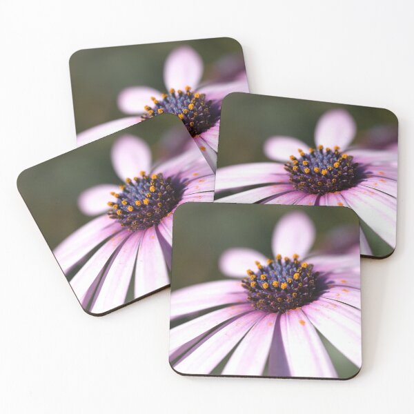 Item preview, Daisy Time designed and sold by Joy Watson - Natural Light Photography .