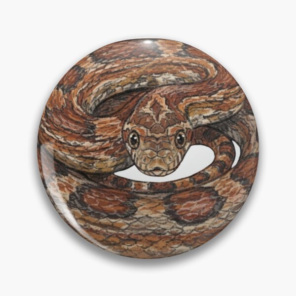 Item preview, Coiled Corn Snake Detailed Illustration designed and sold by Deilage.