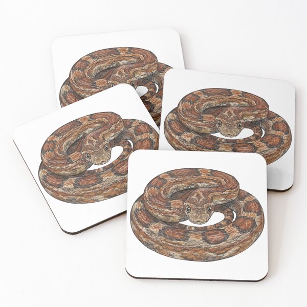 Item preview, Coiled Corn Snake Detailed Illustration designed and sold by Deilage.