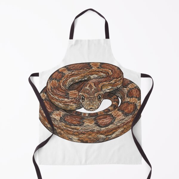 Item preview, Coiled Corn Snake Detailed Illustration designed and sold by Deilage.