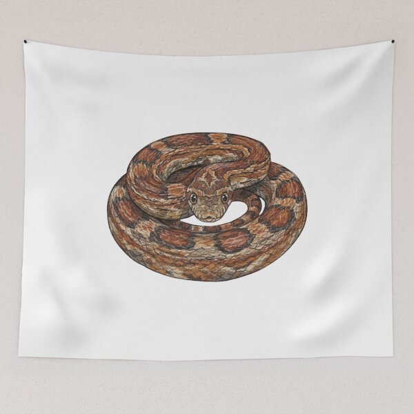 Item preview, Coiled Corn Snake Detailed Illustration designed and sold by Deilage.