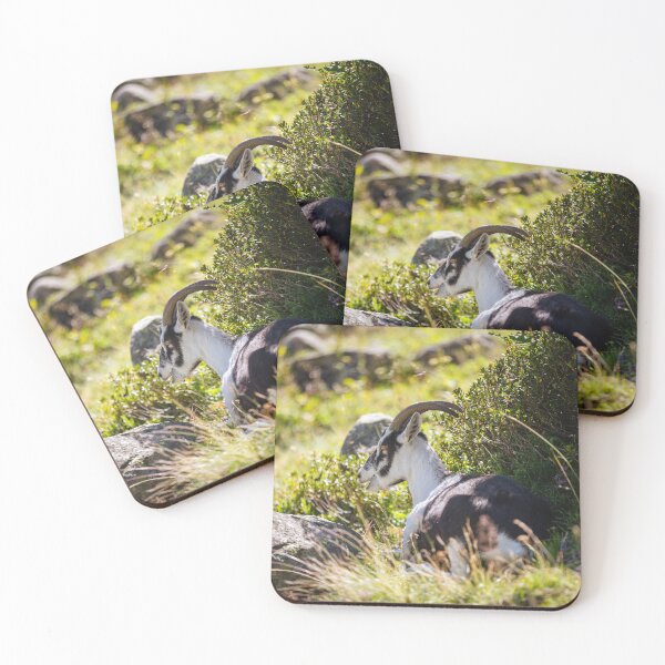 Item preview, Alpine Goat in the Mountains designed and sold by alicjamiekina.